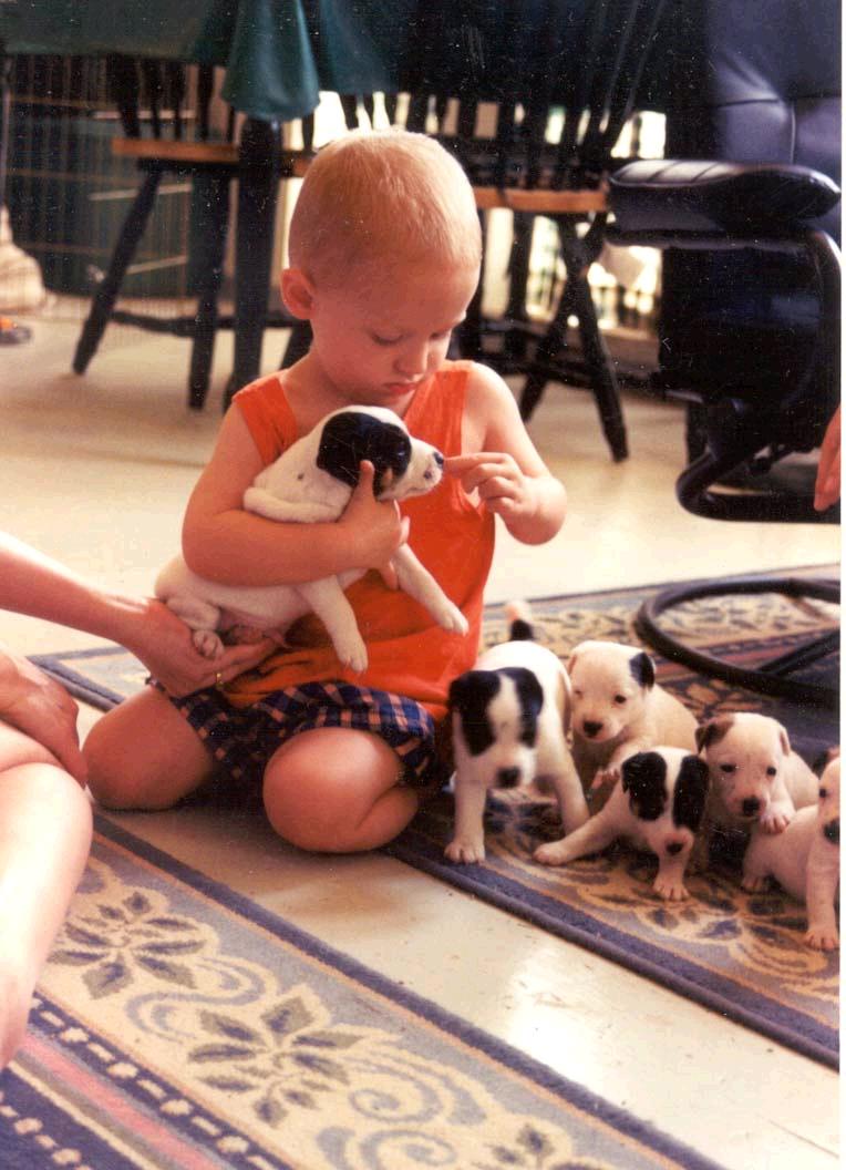 canyonpups.jpg